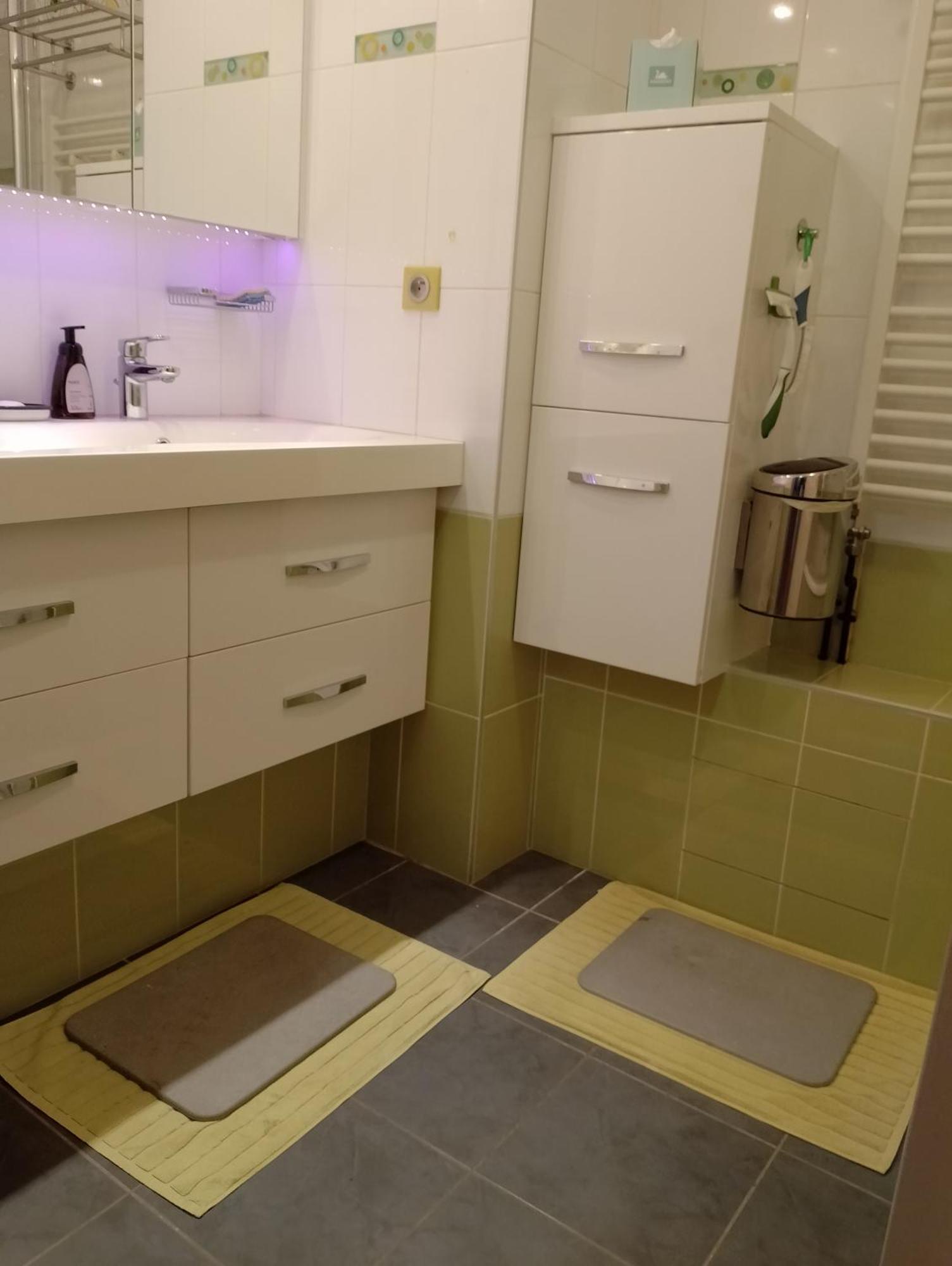 Appartement Residentiel Au Vert Et Au Frais Montigny-le-Bretonneux Zewnętrze zdjęcie